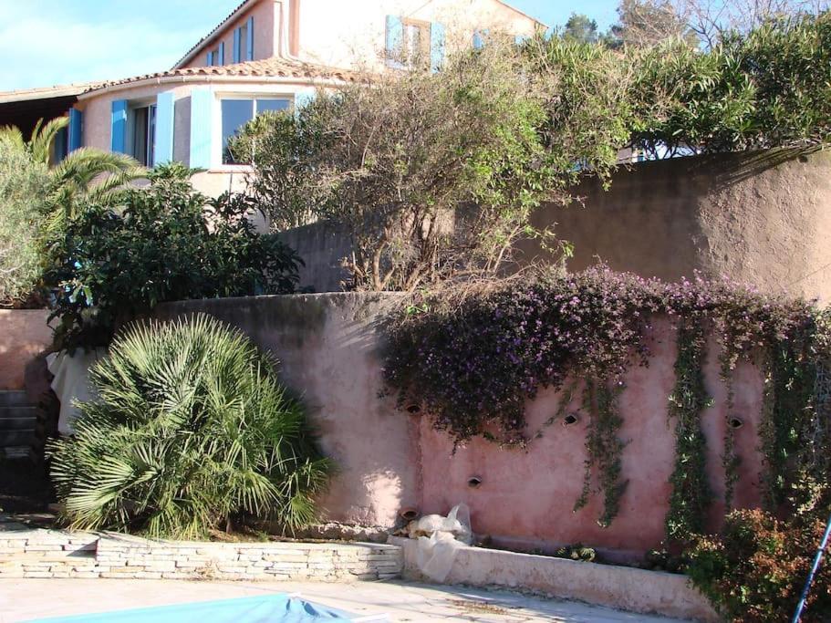Incredible Apartment Near The Sea And Calanque La Ciotat Exterior foto